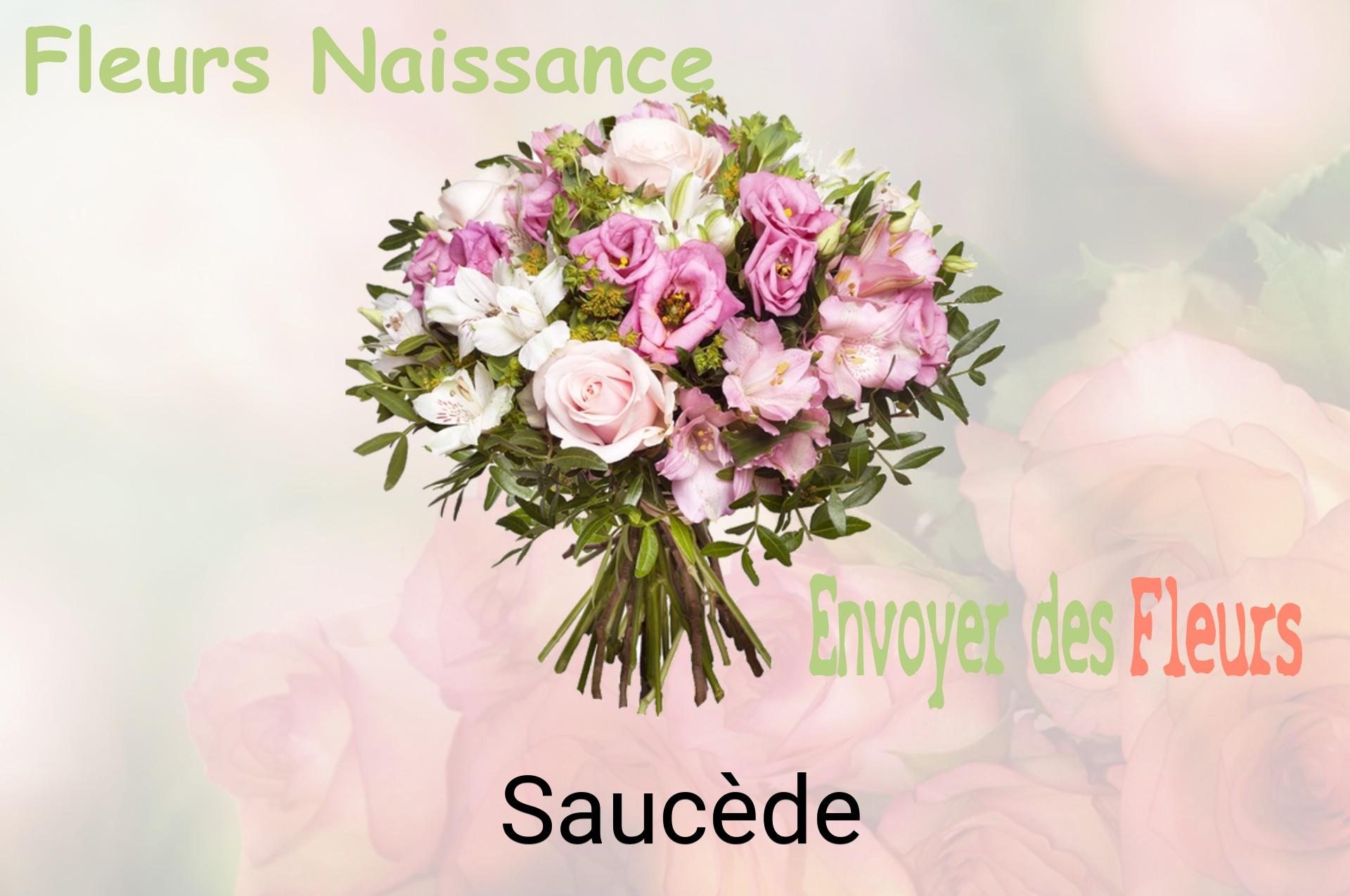 Bouquet de fleurs de naissance livré à Saucède