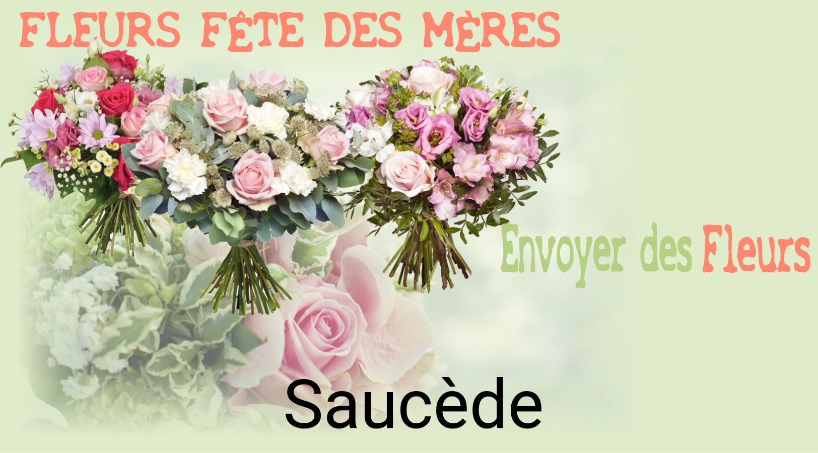 Bouquet de Fête des Mères livré à Saucède